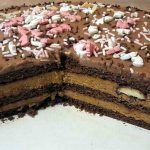 Plazma torta sa gotovim korama