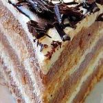 PLAZMICA TORTA - SAVRŠENA KOMBINACIJA SASTOJAKA