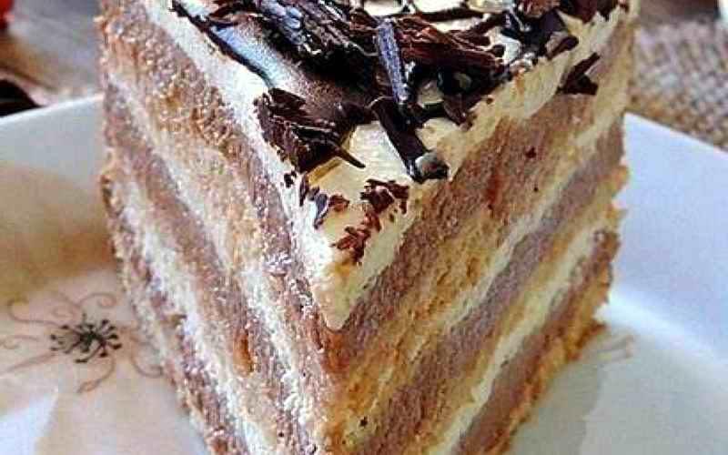 PLAZMICA TORTA - SAVRŠENA KOMBINACIJA SASTOJAKA