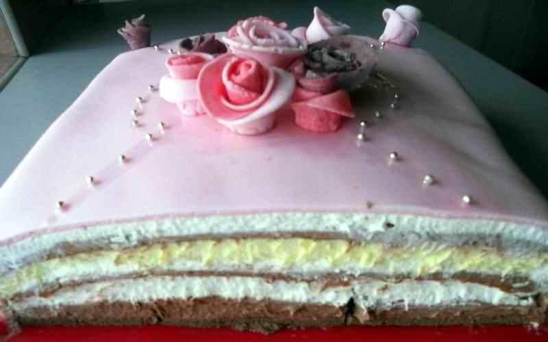 NESKVIK SAN TORTA