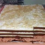 NOVA PLAZMA TORTA