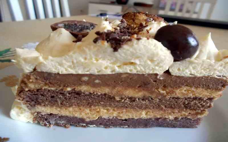 KREMASTA PLAZMA TORTA