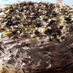 ŠLJUNAK TORTA