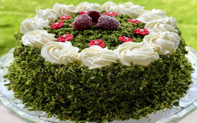 MAHOVINASTA TORTA